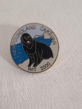 WIT Winnebago Itasca Travelers Newfoundland Dog Caravan 2000 Vintage Lapel Pin